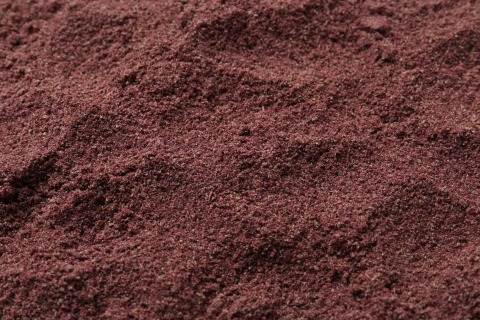 Cassis en poudre lyophilisée 10 kg